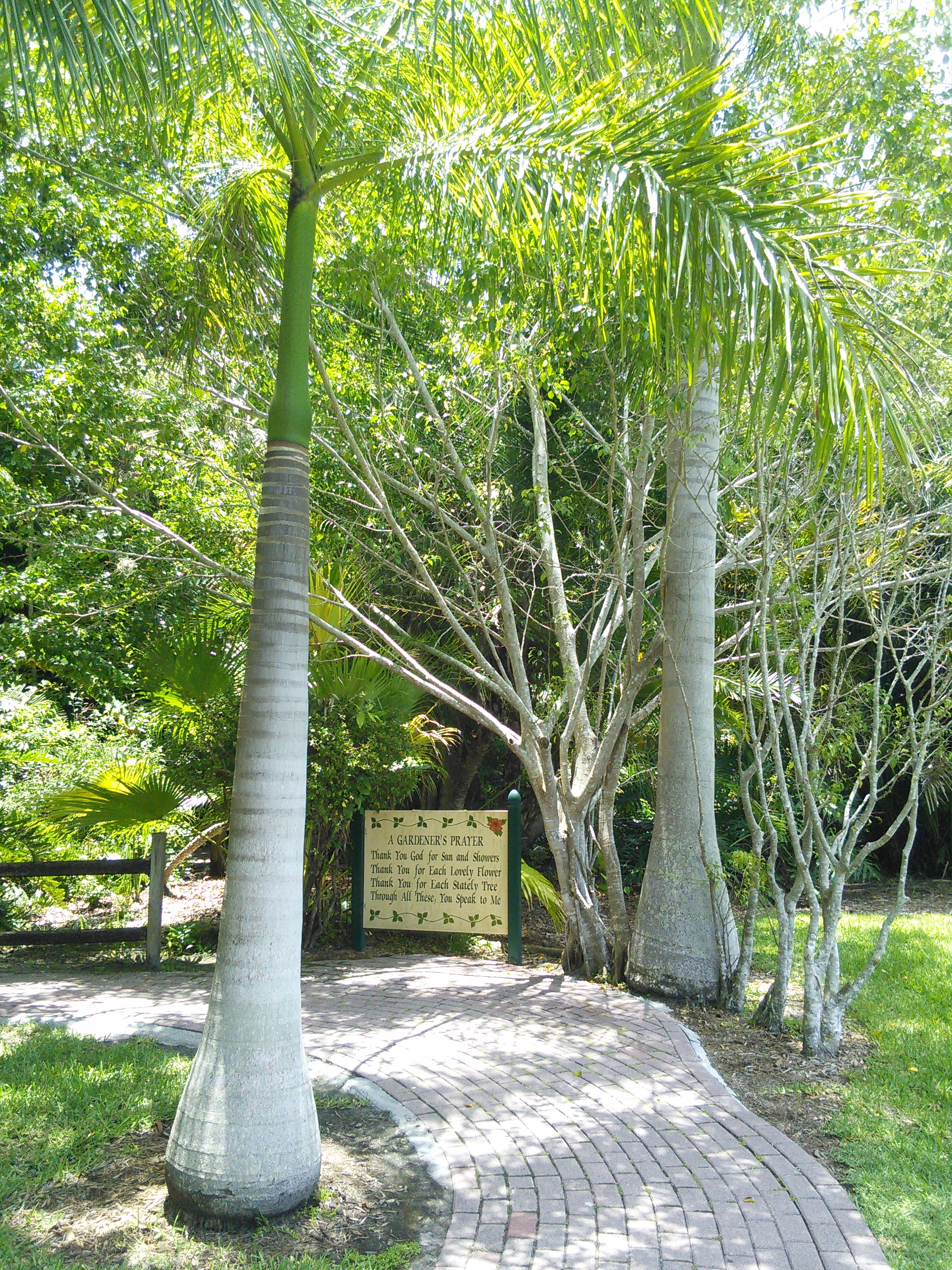 Sarasota Jungle Gardens_10