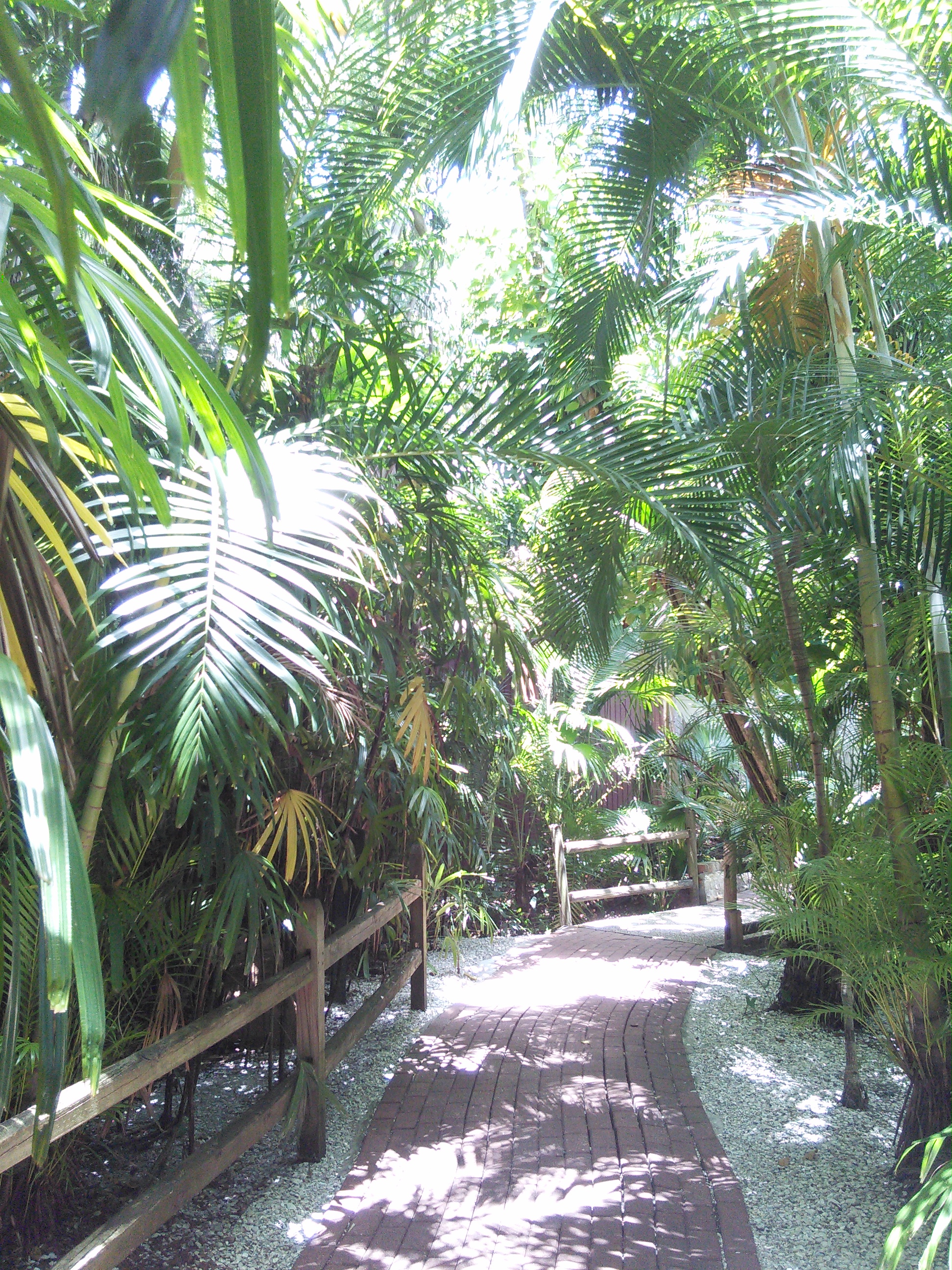 Sarasota Jungle Gardens_4