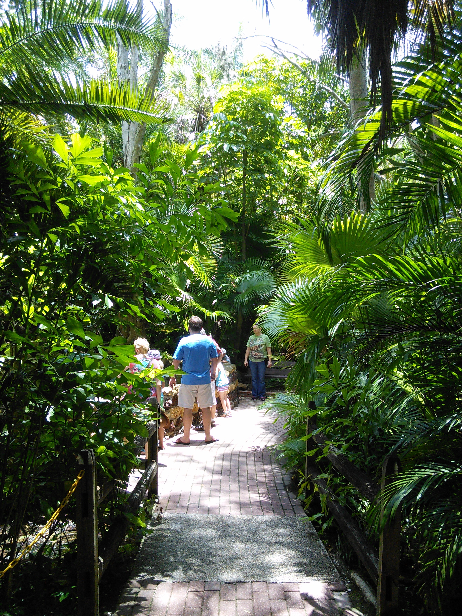 Sarasota Jungle Gardens_5