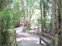 Sarasota Jungle Gardens_2