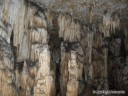 Stalactites in Fisher Cave