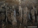 Stalactites in Fisher Cave