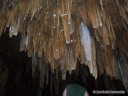 Stalactites in Fisher Cave