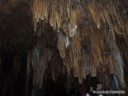 Stalactites in Fisher Cave