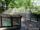 Misting at Grant's Farm