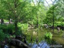 View of the Bird Aviary at St. Louis Zoo