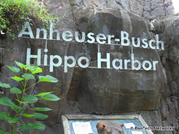 Anheuser Busch Hippo Harbor