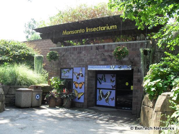 Insectarium at St. Louis Zoo