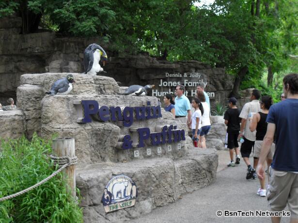 Penguin & Puffin Sign