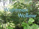 Wightman Wallow