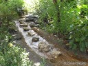 Stream at St. Louis Zoo