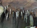 Stalactites at St. Louis Zoo