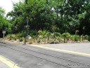 Landscaping at St. Louis Zoo