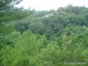 Bluff at Starved Rock