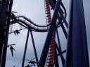 Roller Coaster - SheiKra