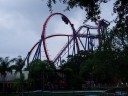 Roller Coaster - SheiKra