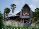 Roller Coaster - Gwazi