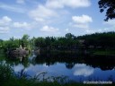 Animal Kingdom Pond