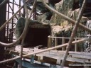 Roller Coaster - Lost Coaster of Superstition Moun