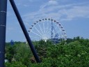 Collossus Ferris Wheel