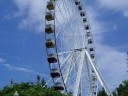 Collossus Ferris Wheel