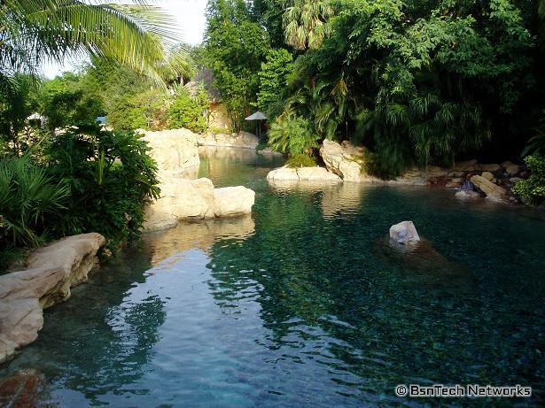 Discovery Cove Landscaping