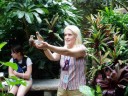 Discovery Cove Aviary