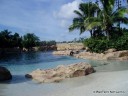 Discovery Cove Dolphin Lagoon