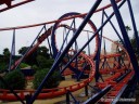 Scorpion Roller Coaster