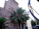 Montu & Scenery