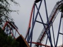 SheiKra 90-degree Drop