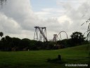 Giraffes & SheiKra!