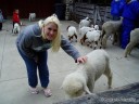 Petting Zoo