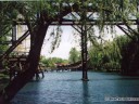 Roller Coaster - Cedar Creek Mine Train