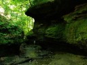 Trail 3 at Turkey Run State Park