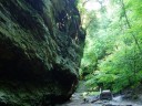 Trail 3 at Turkey Run State Park