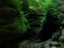 Trail 3 at Turkey Run State Park