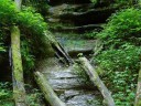 Trail 3 at Turkey Run State Park