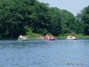 Paddle Boats for Rent