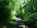 Along the Lakeview Trail