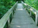 Long Bridge on Lakeview Trail