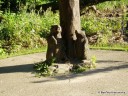 Busy Beavers