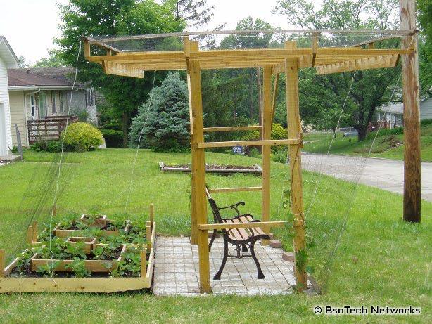 Arbor Covered with Bird Netting