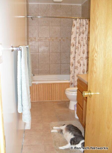 Bathroom Project