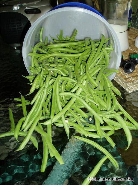 Green Beans