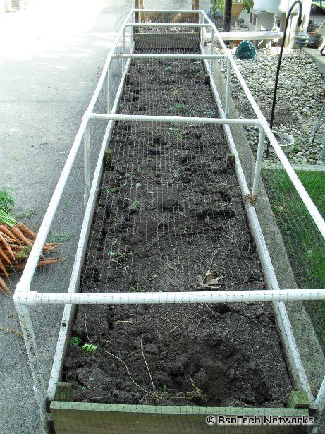 Carrot Raised Bed