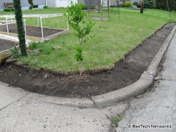Curb Appeal Project