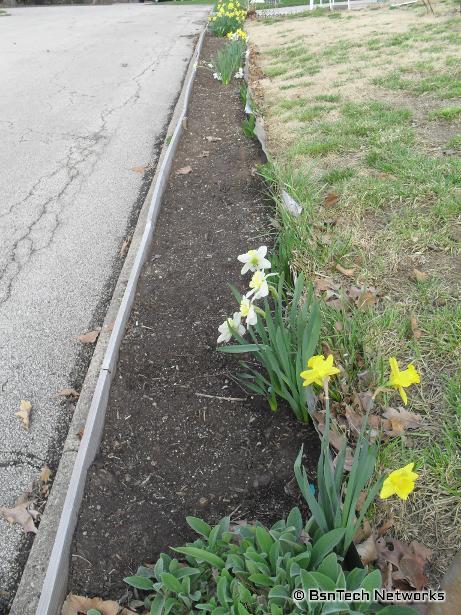 Flower Bed