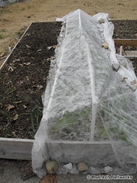 Floating Row Cover
