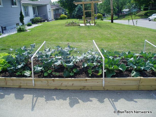 Full Front Garden